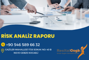 Risk Analiz Raporu